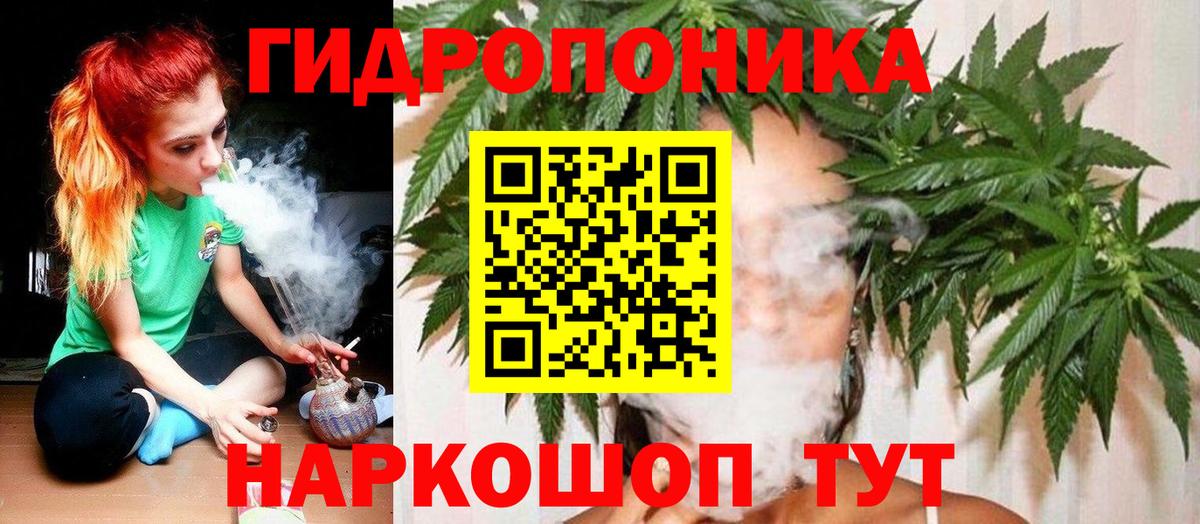Шишки марихуана конопля Вичуга